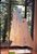 Wedding Gown